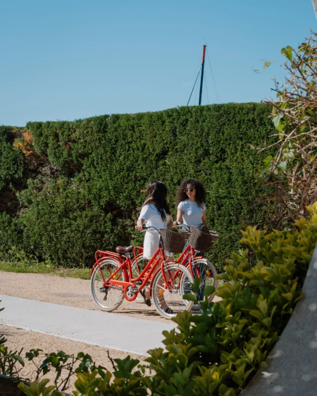 Et si vous partiez en balade à vélo, depuis l’hôtel ? 🚲✨

À l’Oustau, on vous propose la location directement sur place,pour explorer les environs en toute liberté !

🌞 5 min du port de plaisance
🌞 15 min des plages
🌞 20 min du centre-ville
🌞 45 min d’Aigues-Mortes

→ Infos et réservation directement
à la réception de l’hôtel

___

𝗛𝗼̂𝘁𝗲𝗹**** 𝗢𝘂𝘀𝘁𝗮𝘂 𝗖𝗮𝗺𝗮𝗿𝗴𝘂𝗲𝗻
Votre hôtel familial en pleine Camargue
🔗 Réservation en ligne l lien en bio

🖥️ @agence.foudre