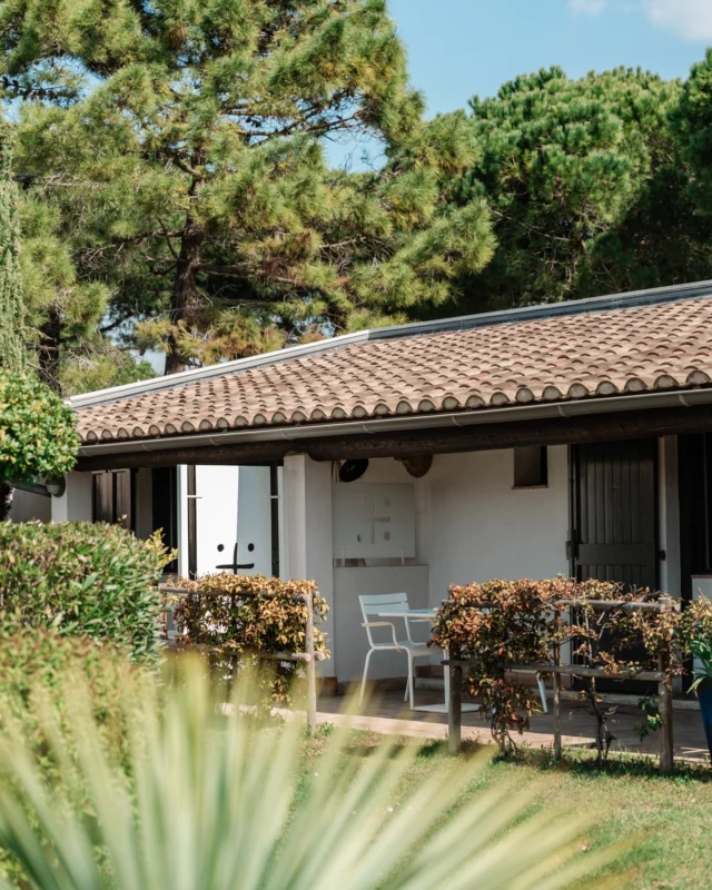 Un amour fou pour nos jardins, tout beau, tout vert 🧡

___

𝗛𝗼̂𝘁𝗲𝗹**** 𝗢𝘂𝘀𝘁𝗮𝘂 𝗖𝗮𝗺𝗮𝗿𝗴𝘂𝗲𝗻
Votre hôtel familiale en pleine Camargue
🔗 Réservation en ligne l lien en bio

🖥️ @agence.foudre