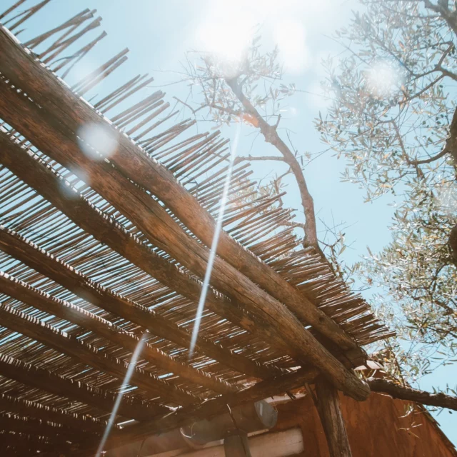 ☀️ L'été est là à La Table de l’Oustau ! 

À compter d’aujourd’hui, nous avons le plaisir de vous accueillir tous les jours, midi et soir, pour vous faire découvrir notre cuisine inspirée des saveurs de la Camargue, dans un cadre chaleureux et authentique 🌿🍷

🕛 Tous les jours, midi & soir 🌙
🔗 Réservation via Zenchef

—

LA TABLE 🍋 par @‌oustaucamarguen
📍 Port-Camargue – Le Grau-du-Roi

#hotel #occitanie #vacancesencamargue
#camargue #sud #france #hôtelcamargue

📷 @maegalvezeyesight