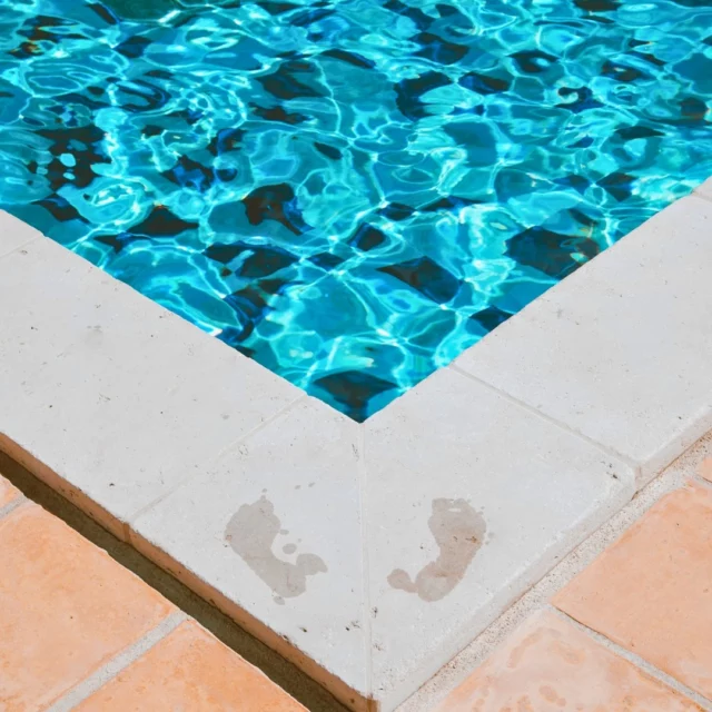 Out of Office activé ☀️
Les e-mails peuvent attendre... Les plongeons, eux, non !

___

𝗛𝗼̂𝘁𝗲𝗹**** 𝗢𝘂𝘀𝘁𝗮𝘂 𝗖𝗮𝗺𝗮𝗿𝗴𝘂𝗲𝗻
Votre hôtel familial en pleine Camargue
🔗 Réservation en ligne l lien en bio

#hotel #occitanie #vacancesencamargue
#camargue #sud #france #hôtelcamargue

📷 @maegalvezeyesight
